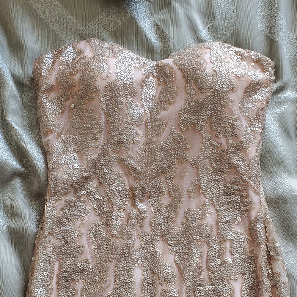 Pink Sweet Heart Gown